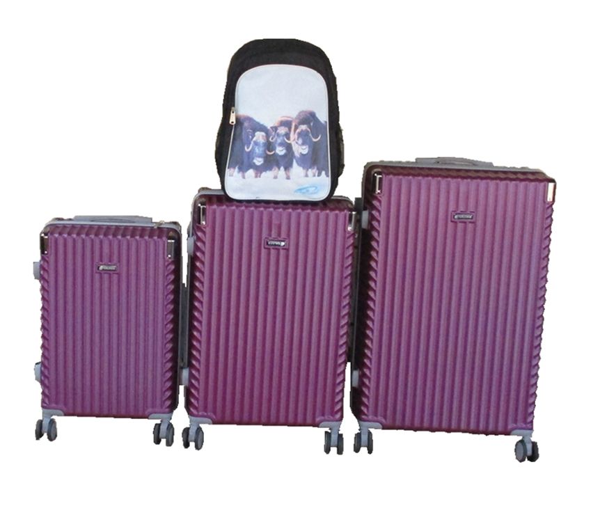 SMTE - Purple 3Piece ABS Luggage Set + Buffalo Print School Backpack