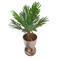 SMTE - Nature's Touch: A Vase of FlowersD1