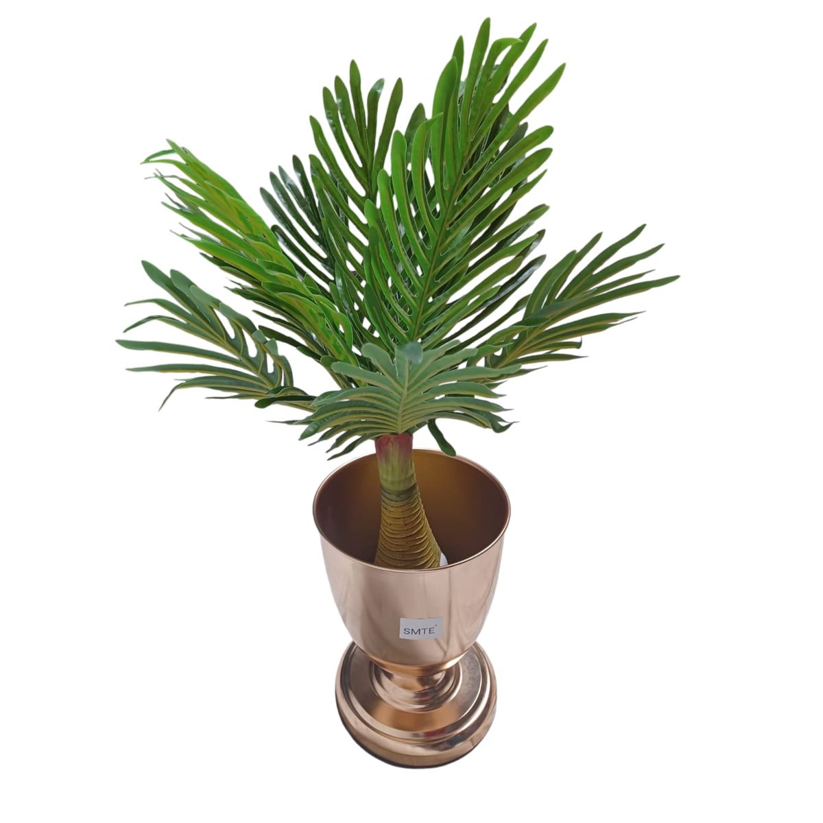 SMTE - Nature's Touch: A Vase of FlowersD1