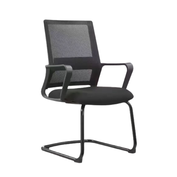 SMTE - Ray Mesh Meeting Chair
