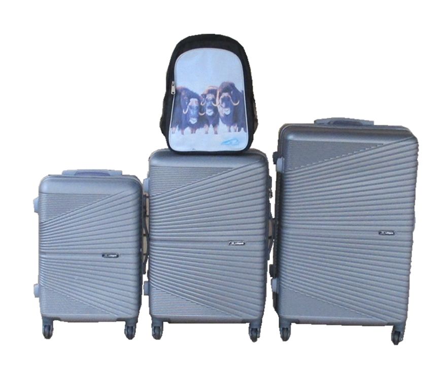 SMTE - Silver ABS 3Piece Trolley Luggage Set with Buffalo Kids School Bag