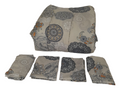 SMTE - Bedding- 5 Piece Comforter Set- Queen Size - White/Roses