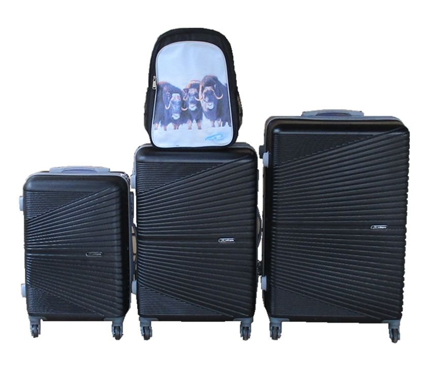 SMTE - Black 3Piece ABS Trolley Luggage Set with Buffalo Backpack