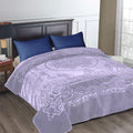 SMTE - Luxury Light Purple Mink Blanket 220 x 200cm