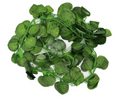 SMTE - Artificial Greenery Flower