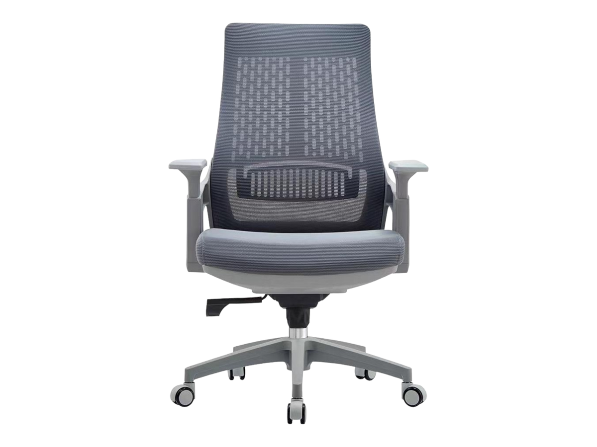 SMTE -  Mesh ergonomic Executive office chair-A2020- F21 - Grey