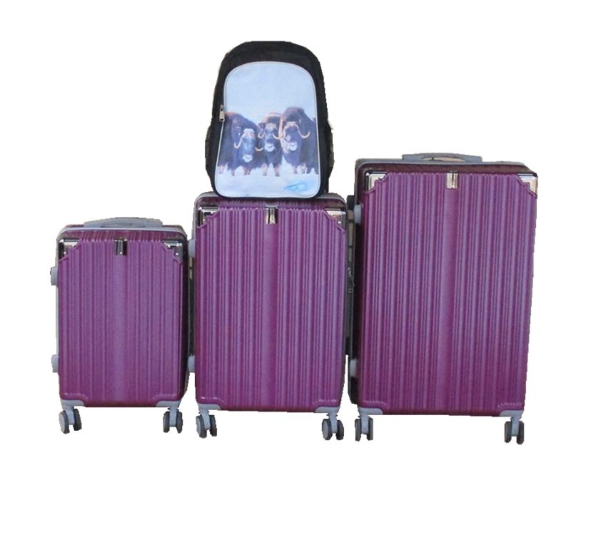 SMTE - Purple 3Piece ABS Spinner Luggage Set + Buffalo Backpack