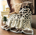 2Ply High Quality Extreme Warm Winter Blanket - Pearl River