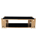 Modern Gold Finish Coffee Table