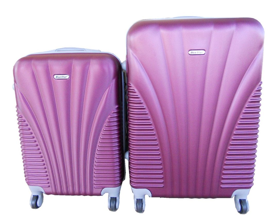 2 Piece Luggage Set - Plum