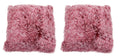 Colorful Faux Fur Cushion Set of 2 - Pink