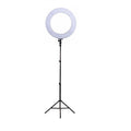 Ring Light 13inch BGD 33(cm) Tripod Set with 2 Phone Holder Set