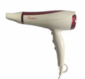 22W Hair Dryer