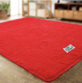 New Large Premium Heavy Duty Fluffy Carpet/Rug & Complementary SMTE Tieback - Red
