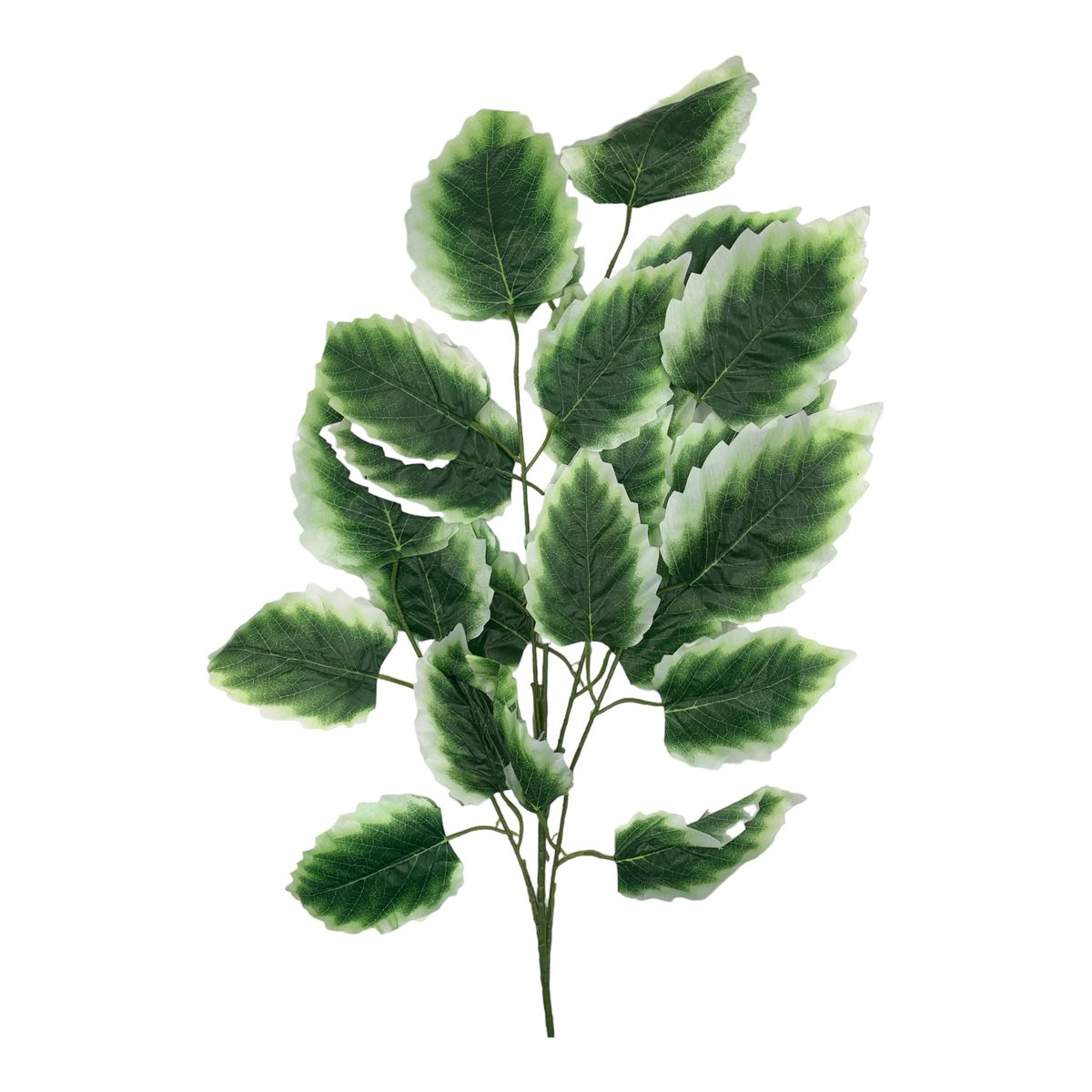 SMTE - 3Piece GreeneryAristolochia Clematitis Stem with Leaves65cmGreen
