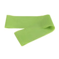 SMTE - Bottom Hip Resistance Training Yoga BandsGreen